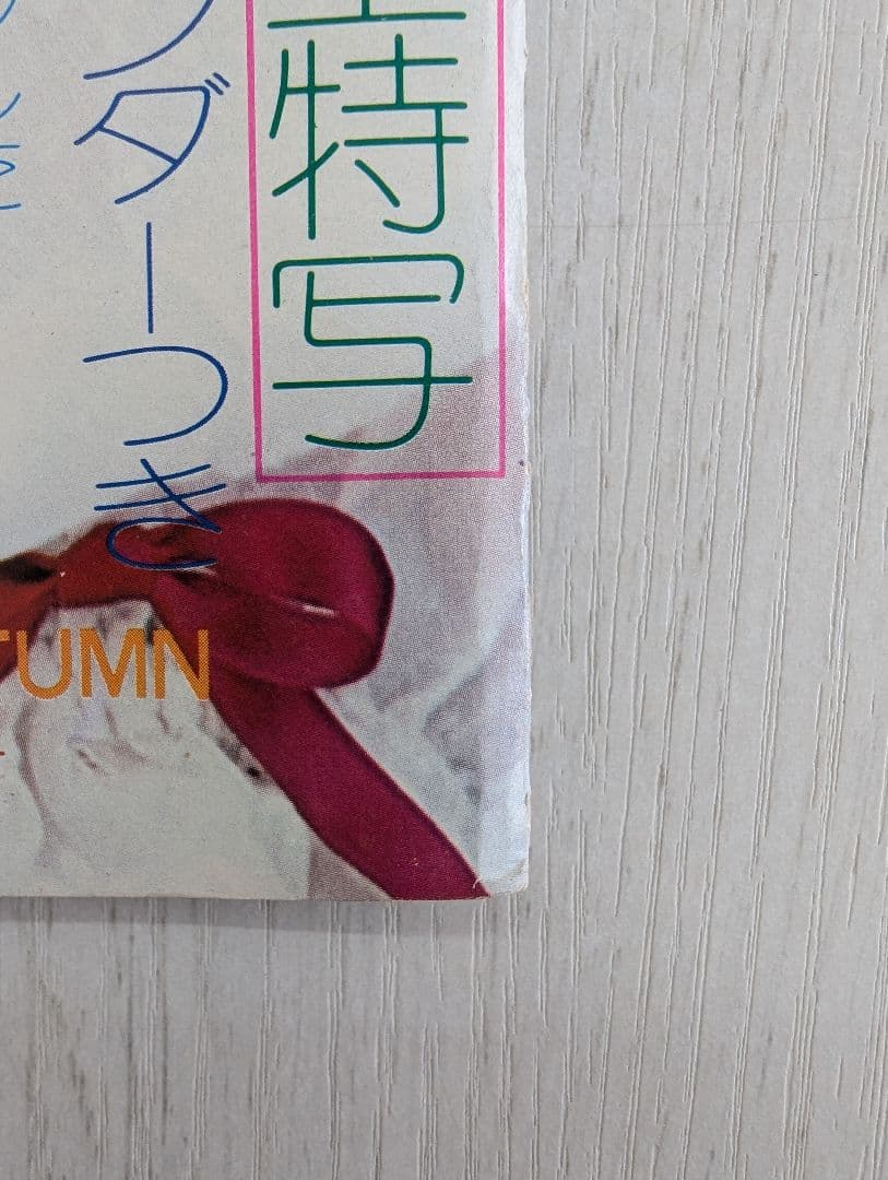 【天地真理】1973『 ヤングアイドルナウ VOL.2 晩秋号』中古品※特典付