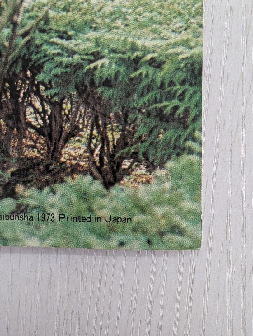 【天地真理】1973『 ヤングアイドルナウ VOL.2 晩秋号』中古品※特典付