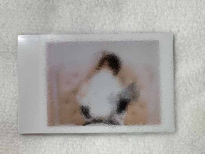 ゆぺくん ピンチェキ