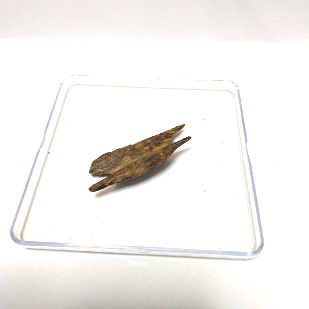 沈香　シャム　頂上　木　2.63g