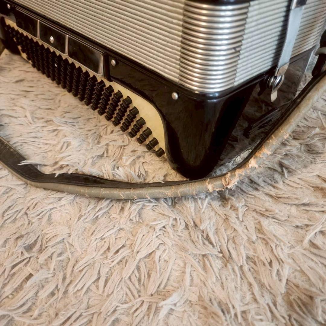 Excelsior エキセルシャー イタリア製 アコーディオン Model310 - メルカリ