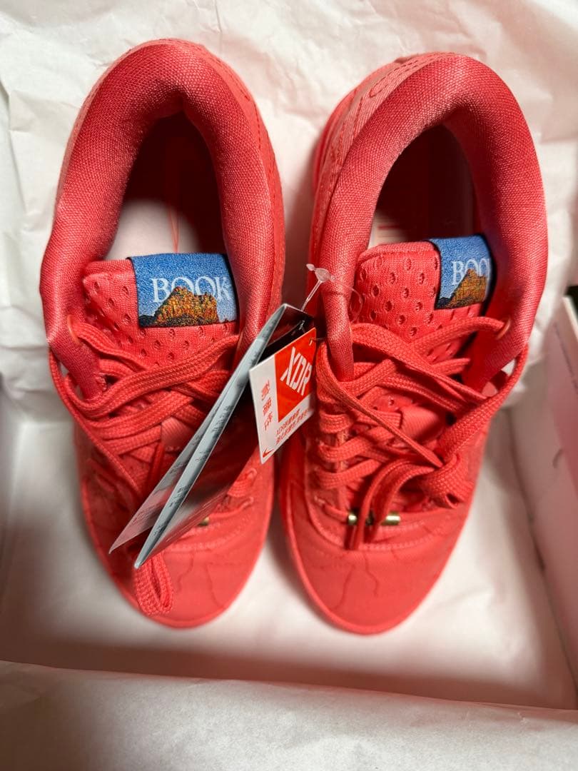 ブック 1 \"Text\" セドナ EP バスケットボールシューズ