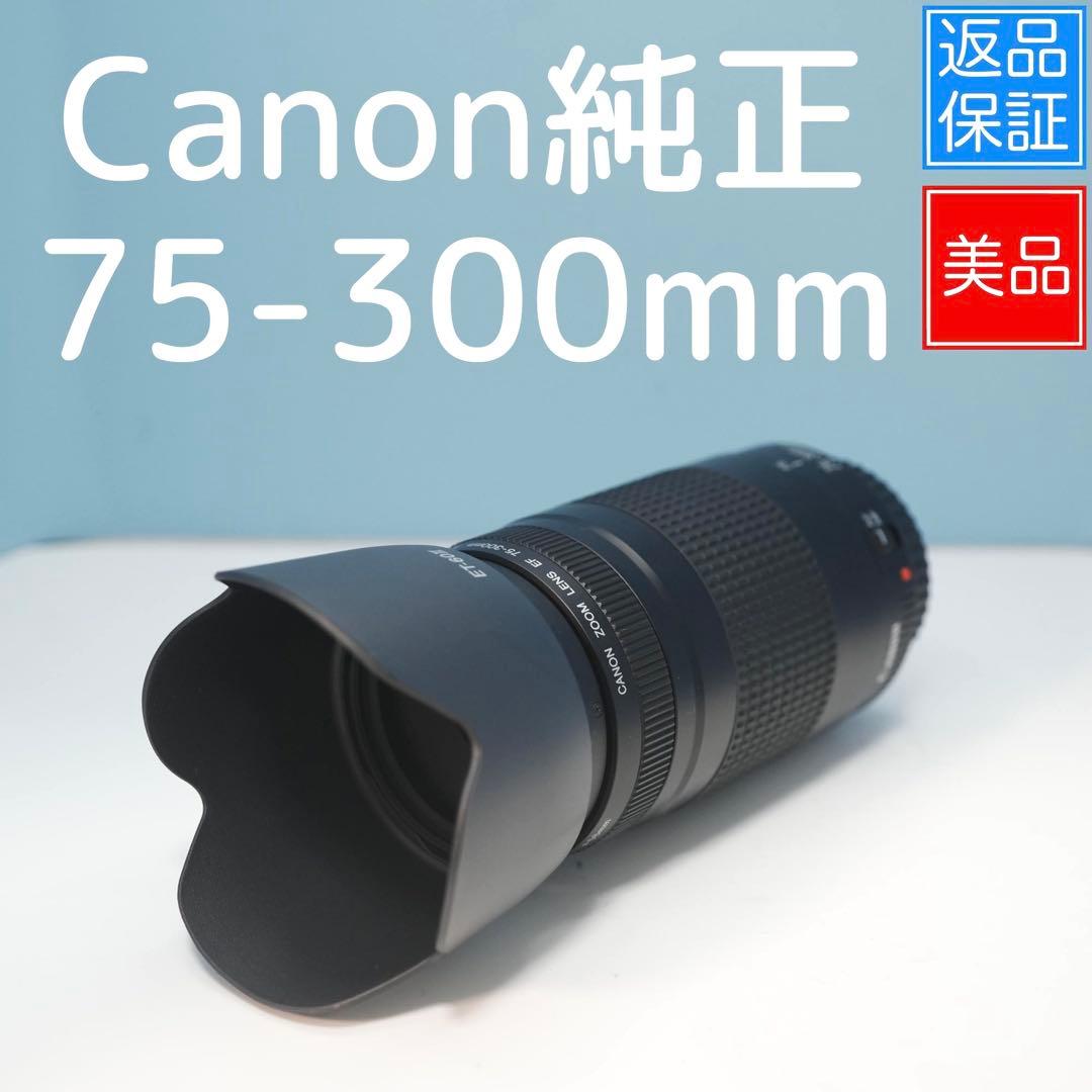 Canon純正 75-300mm 望遠レンズ 美品 a5148 キヤノン（Canon） Canon EF 75-300mm f/4-5.6 III 美品 EFマウント