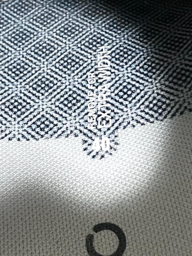 【ヨッシー】ecco エコーゴルフ biom H4 25.5cm