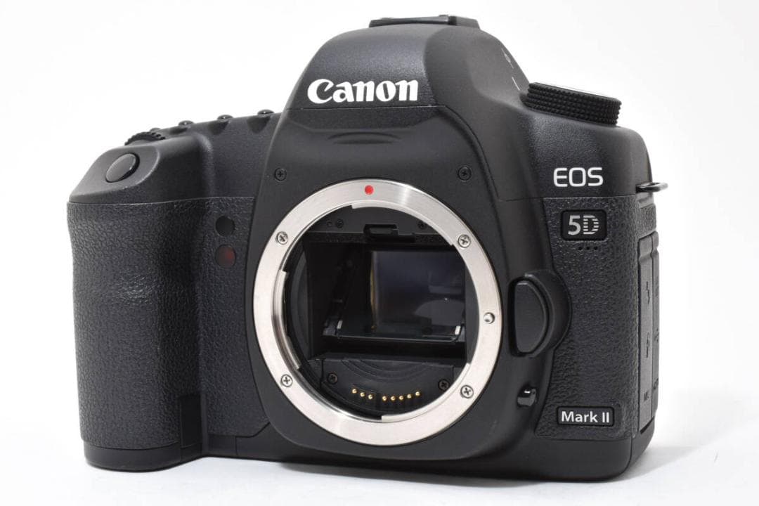 《ショット数4,899回 》 Canon EOS 5D MARK II #785