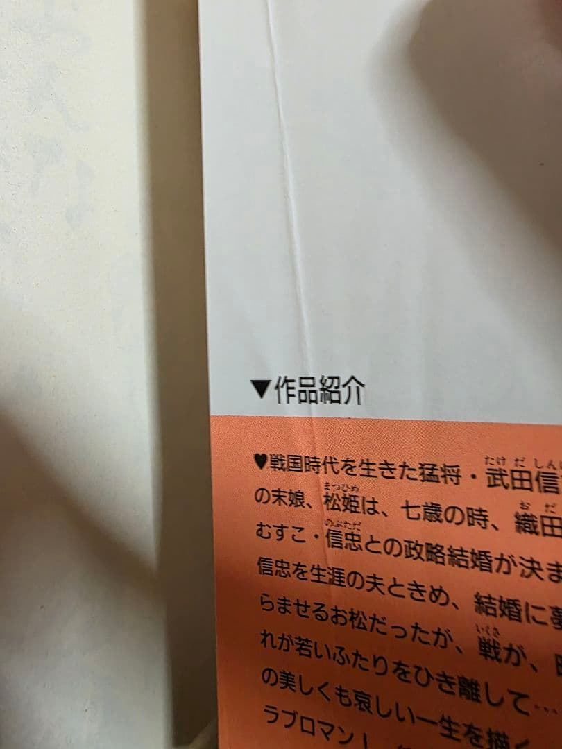 「おんな風林火山」全2巻セット ありさか邦 佐々木守