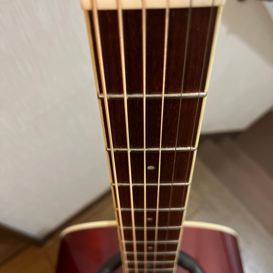 《メンテナンス済み》Falcone FSG-1F TRD アコースティックギター