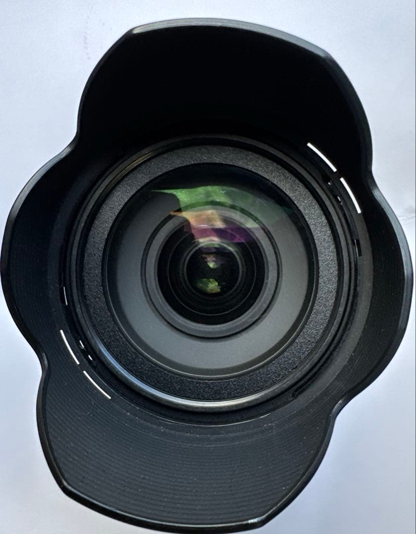 TAMRON レンズ 18-270mm F3.5-6.3 DiII VC ニコン