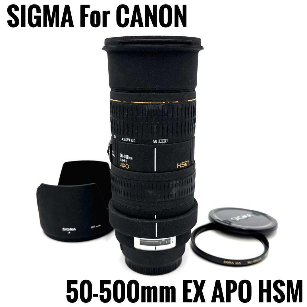 ❁大迫力！超望遠❁SIGMA 50-500mm EX APO HSM キャノン用 K0000094983.jpg