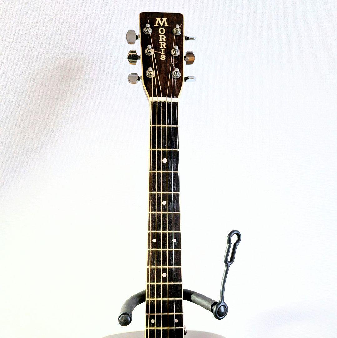 MORRIS W-35 モーリス ビィンテージ トップ単板