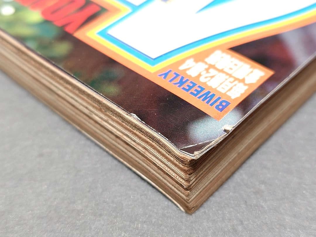 ヤングアニマル1999年2号ベルセルク第134話/浅倉めぐみ表紙&水着グラビア