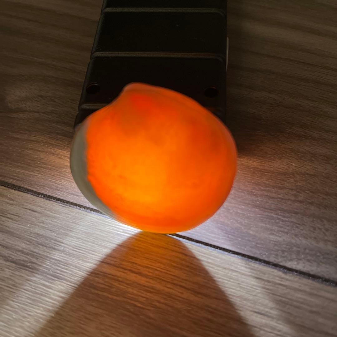 イセシラガイ 化石 方解石 置換化石 広島市中区八丁堀 - メルカリ