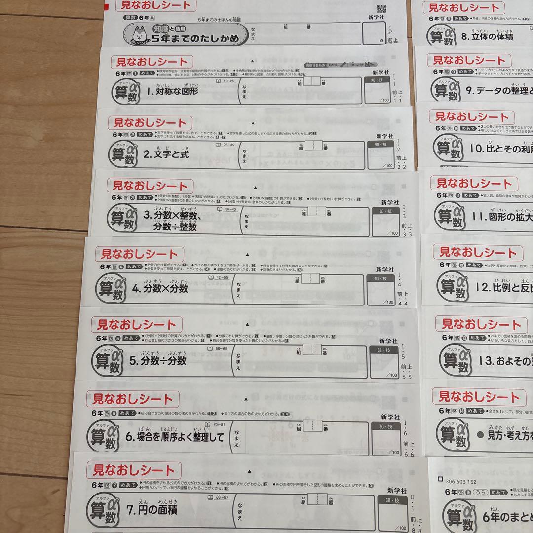 6年⭐︎カラーテスト 見なおしシート 小6 算数 啓林館 2024 新学社 α