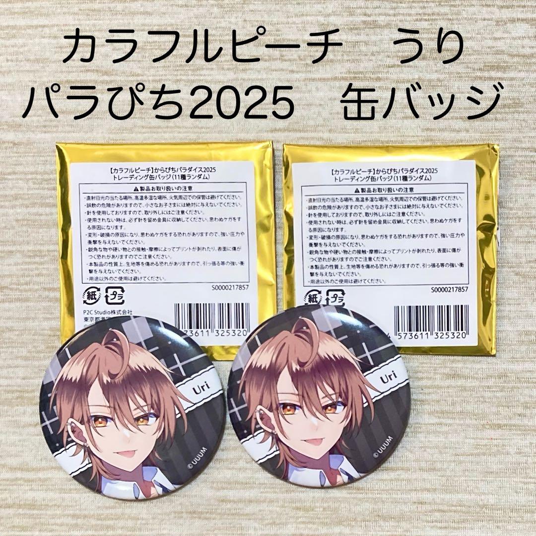 カラフルピーチ からぴち うり からぴちパラダイス パラぴち 缶バッジ