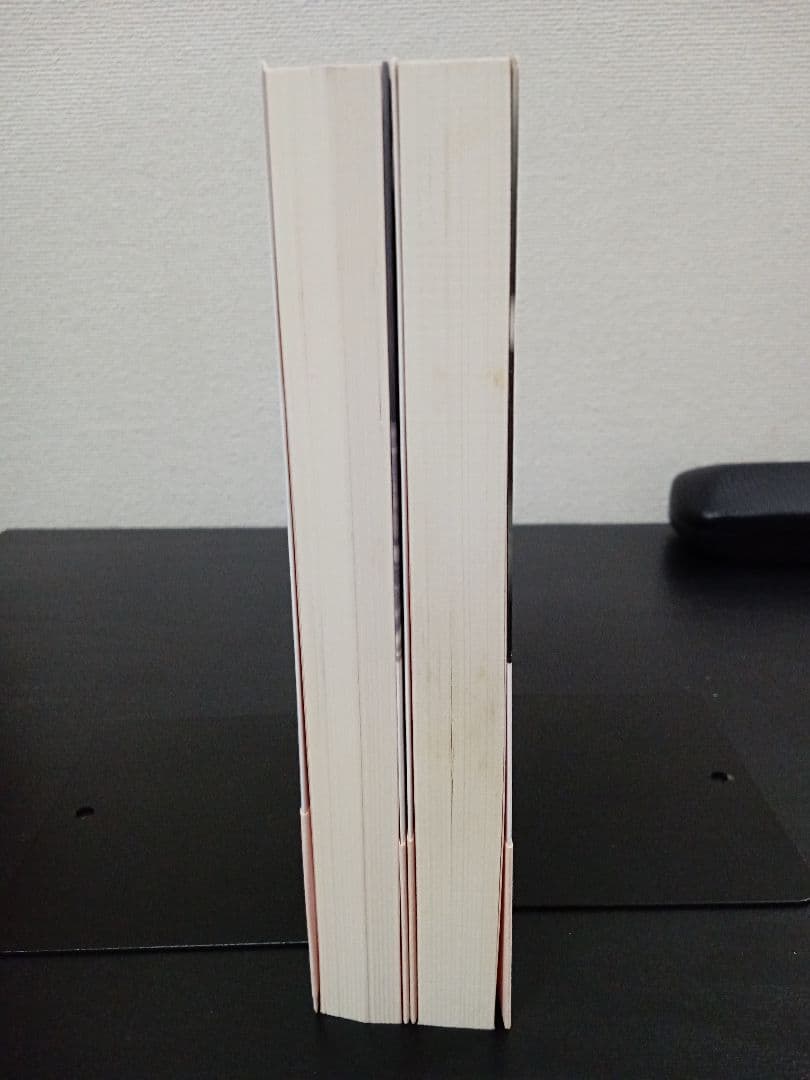 由紀かほる 絶版 新書 帯付 初版 2冊 官能小説 BIG BOOKS 青樹社