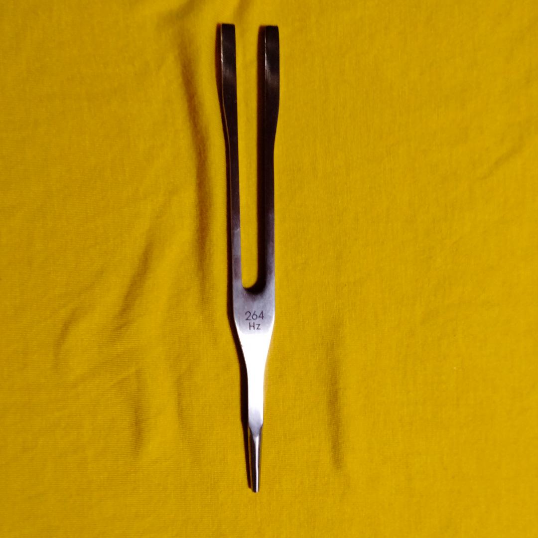 マドモアゼル愛 美容チューナー 132Hz/264Hz 「振動美人」