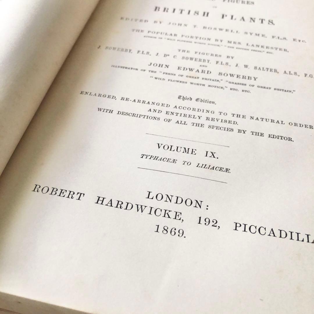 1869年！ 超希少 手彩色160枚 サワビーの英国植物図鑑IX