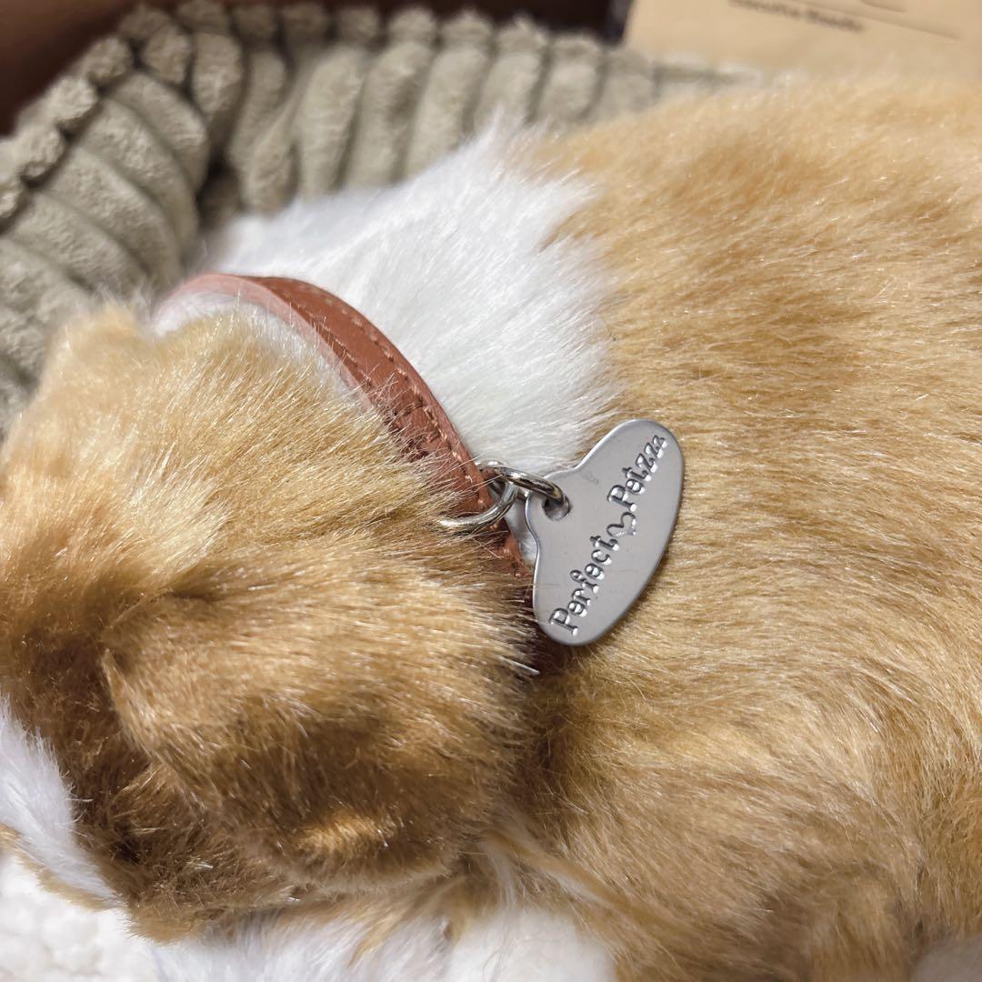 パーフェクトペット Perfect Petzzz コリー シェルティ ラッシー