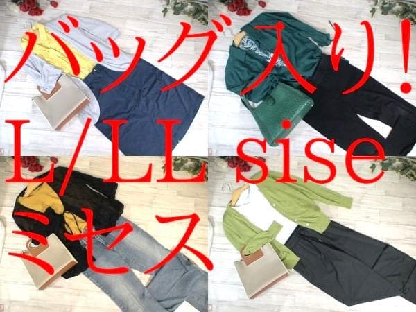 26-6423 婦人服 ミセス まとめ売り 48着・バッグ2点 L/LLサイズ - メルカリ