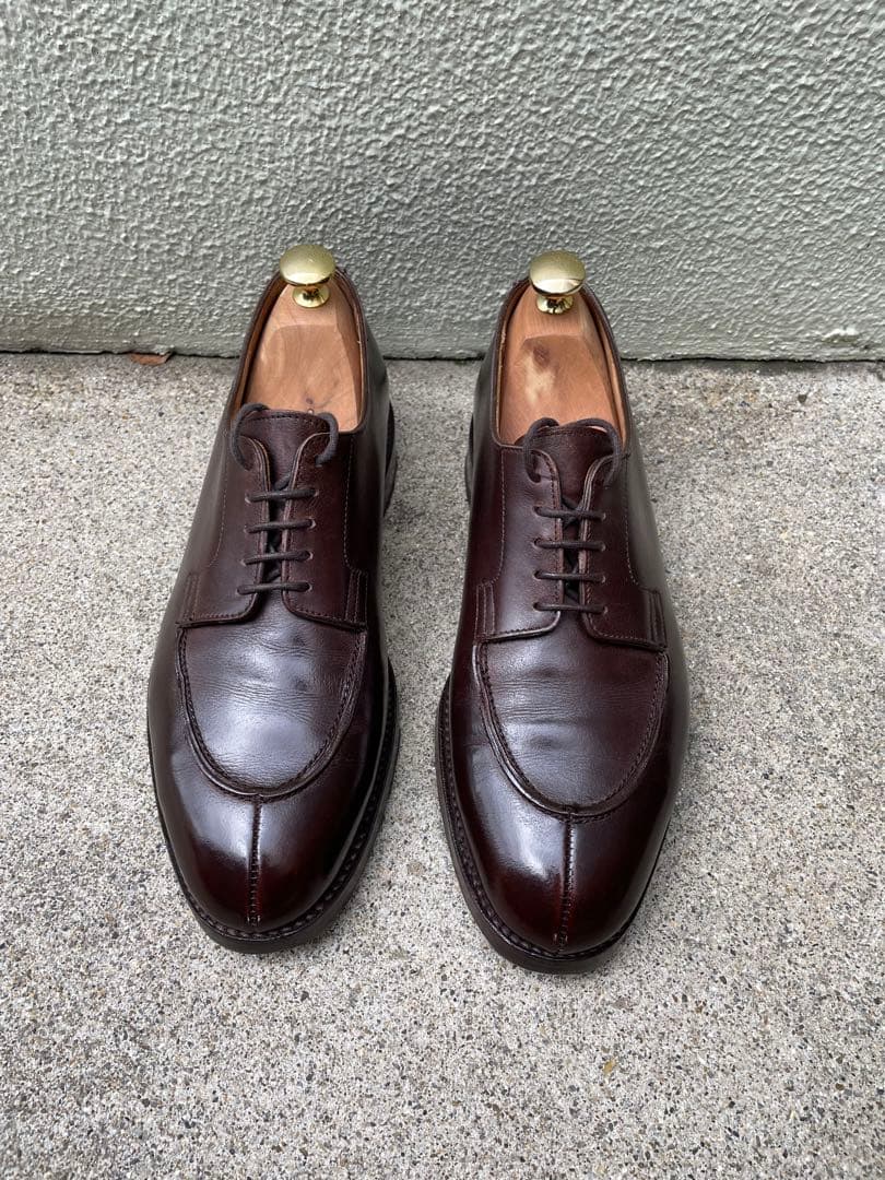 サボテン科大事典: 266属とその種の解説 伊藤 芳夫 未来社 新品 絶版