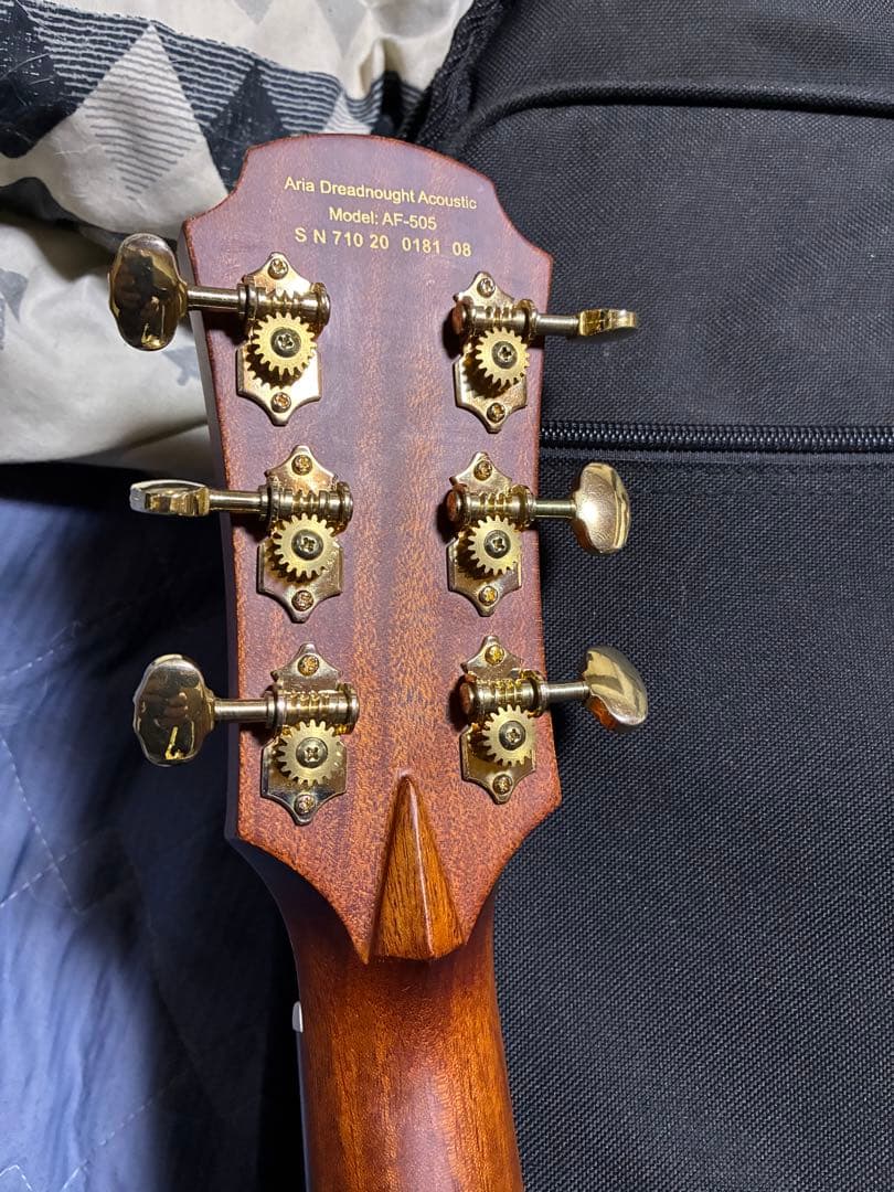 ARIA Dreadnought AF−505 オール単板！スノーフレーク - ギター