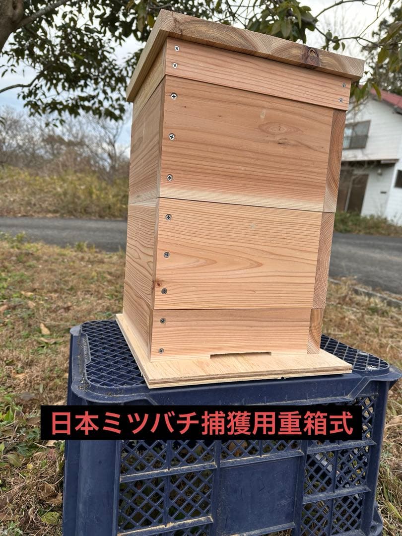 日本ミツバチ 重箱式巣箱 飼育捕獲用 - メルカリ