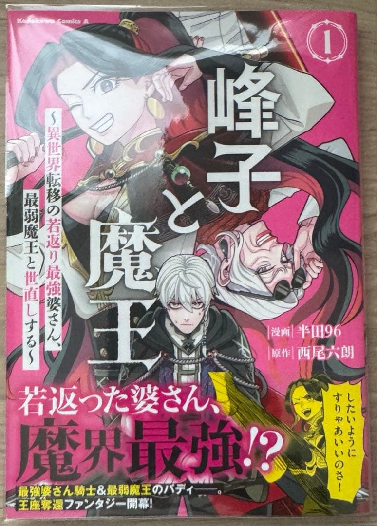 エイミスバジーナ 剣鬼転生 極めし剣は魔術を斬り裂く 他