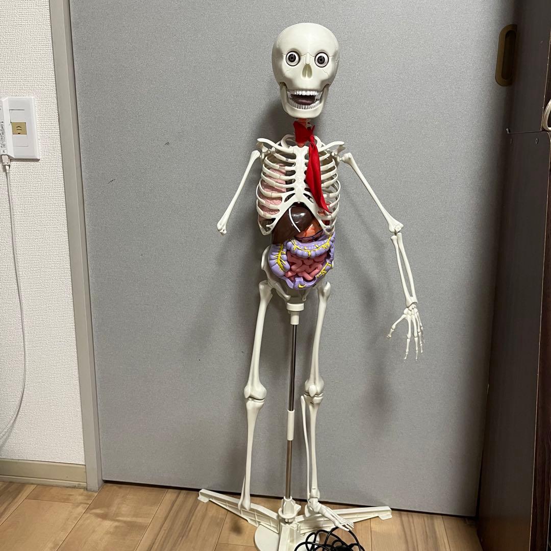 ディアゴスティーニ ホネッキー おしゃべりガイコツ パーツ取り