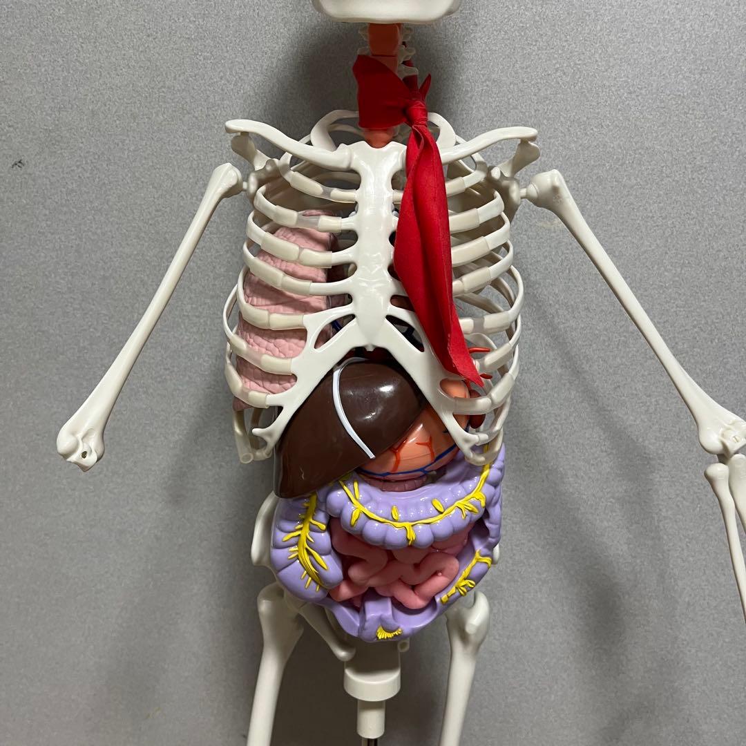 ディアゴスティーニ ホネッキー おしゃべりガイコツ パーツ取り