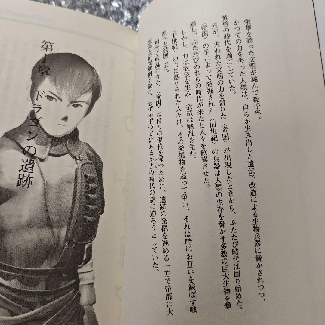 【希少品】パンツァードラグーン アゼル【小説】