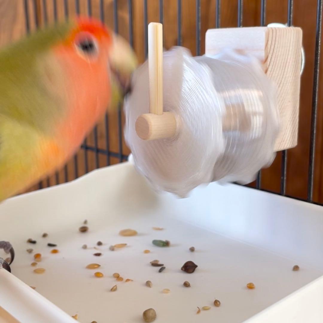 ピピ様専用】フォージングスピン＋広浅バード食器mini - メルカリ