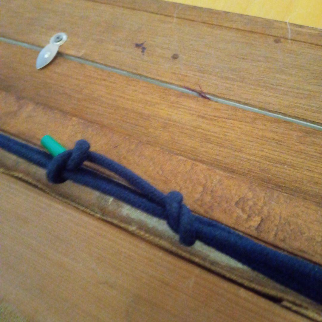 【真作　超希少作品】柿　加納 莞蕾（辰夫） 作　+ オマケのタトウ