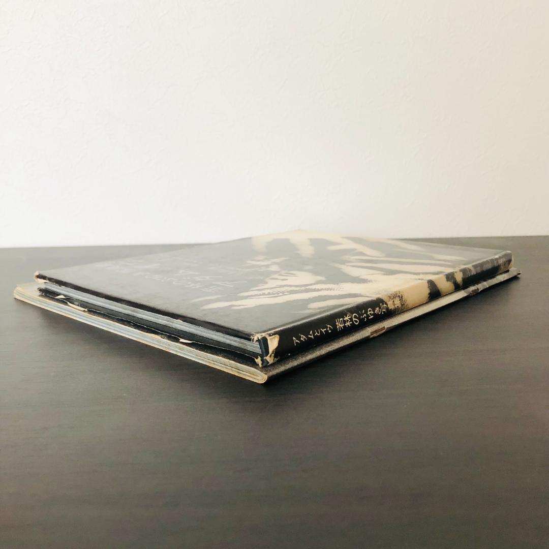 若林のぶゆき 写真集 セット アッ とびだした女たち アダムとイヴ