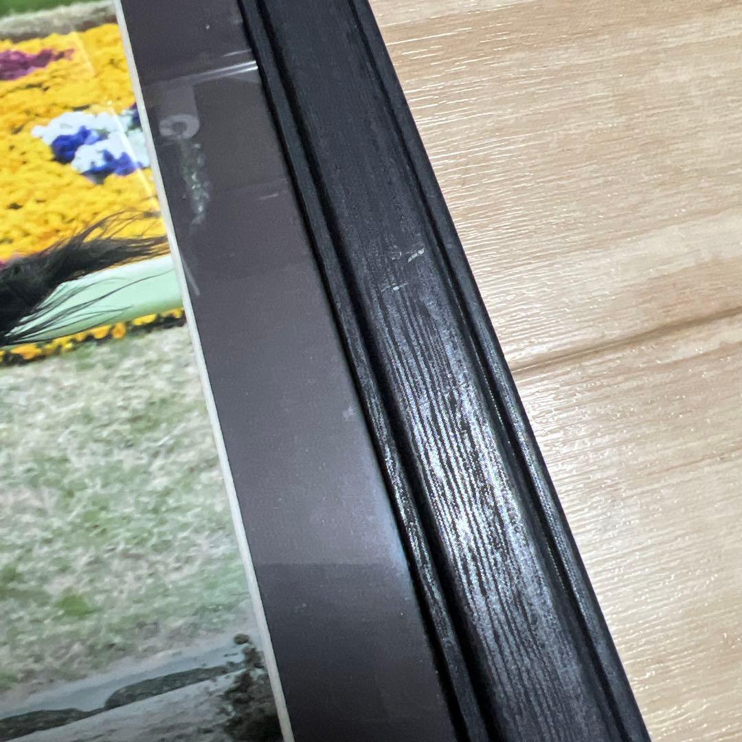 藤田菜七子騎手×サニーデイズ 額装写真パネル - メルカリ