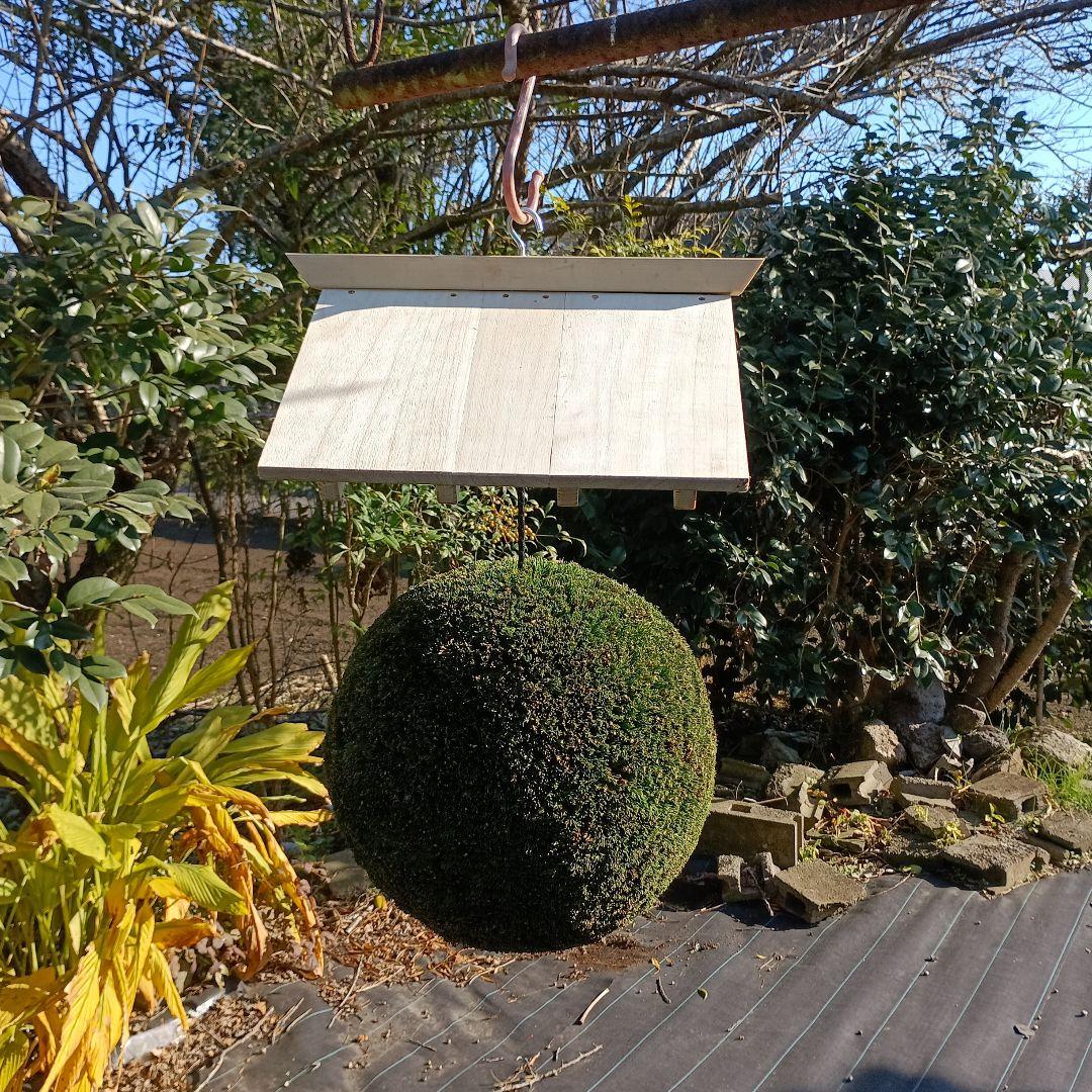杉玉　直径37ｃｍ 屋根付き 杉玉 直径約29cm 屋根付き - メルカリ
