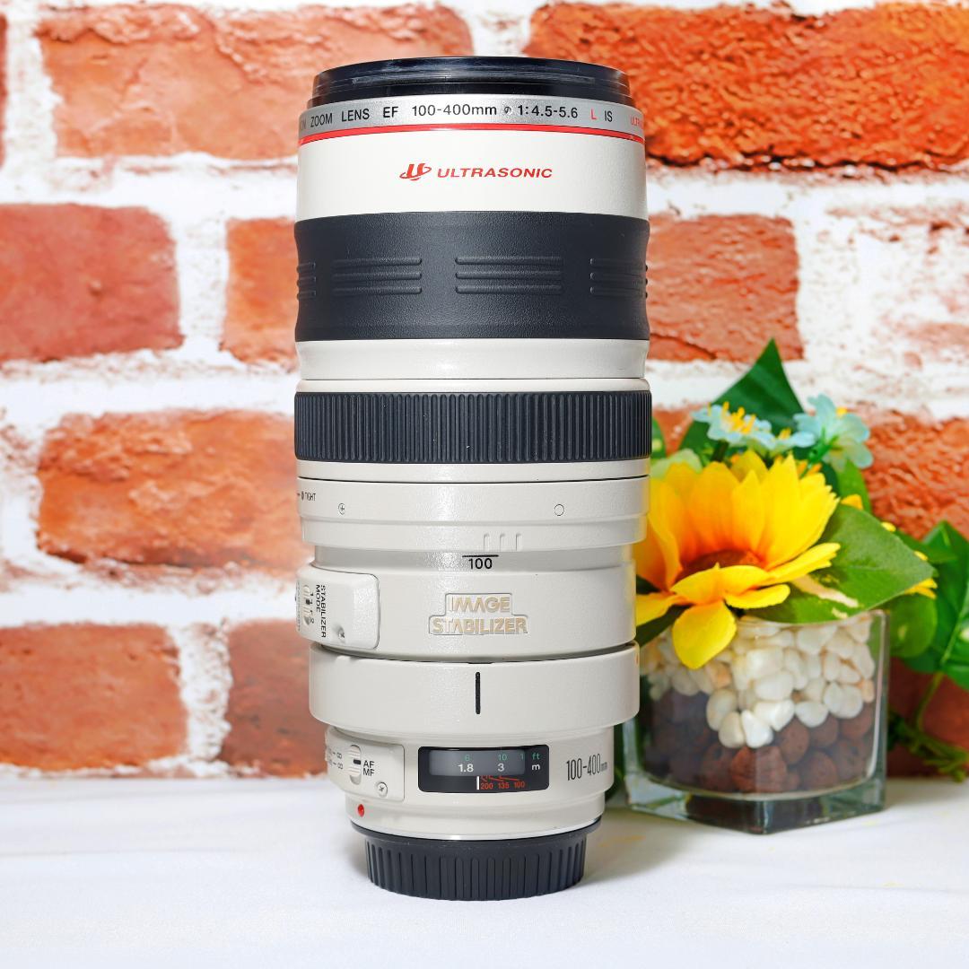 超望遠 Canon EF 100-400mm F4.5-5.6 L IS USM