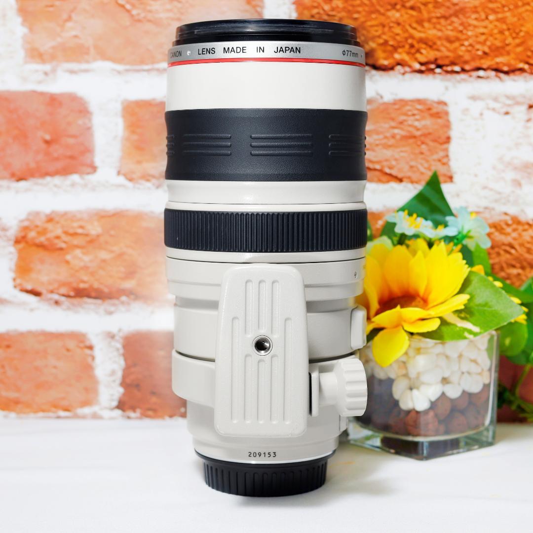 超望遠 Canon EF 100-400mm F4.5-5.6 L IS USM