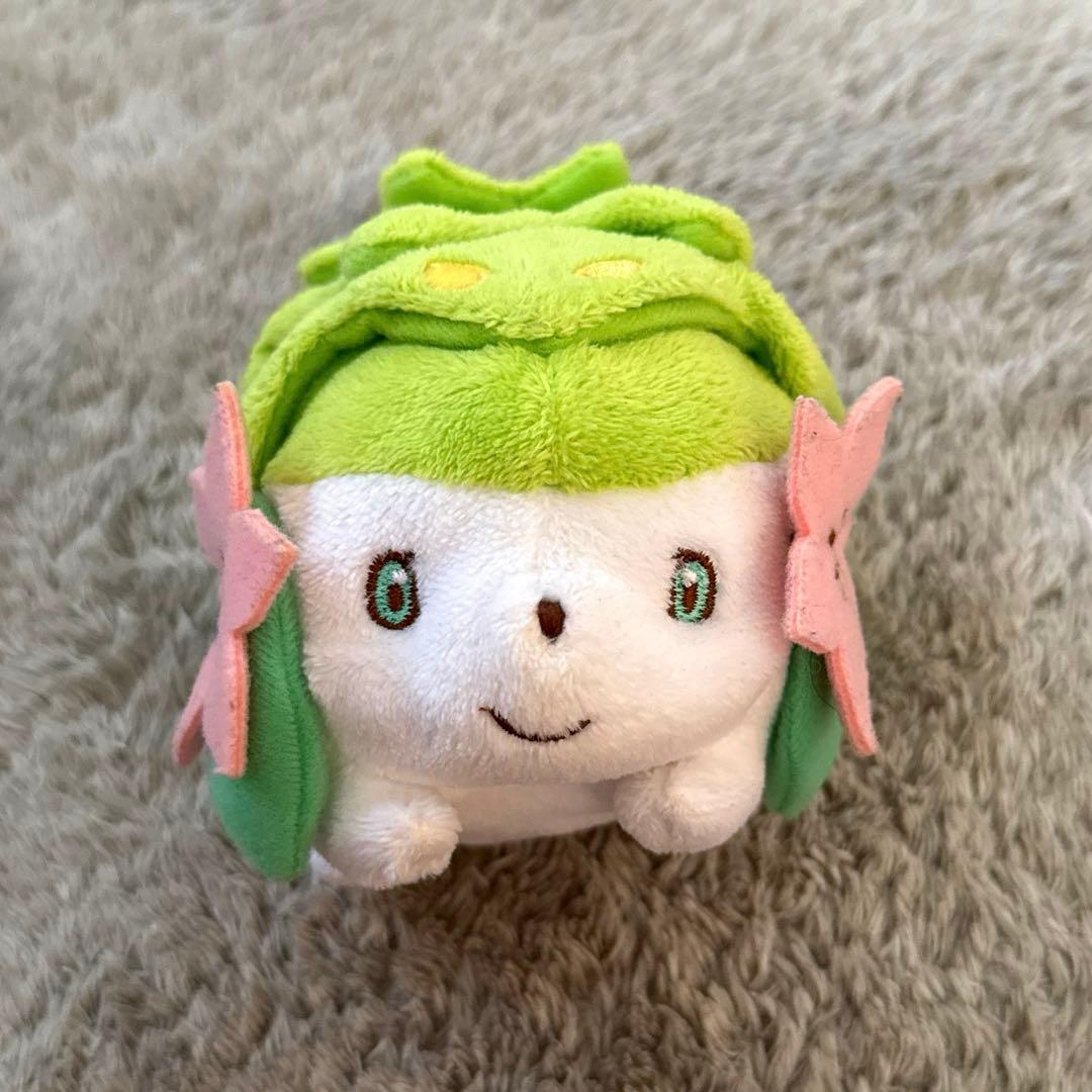 ポケモンキャンバス シェイミ ぬいぐるみ ポケットモンスター ポケモン シェイミ ぬいぐるみ