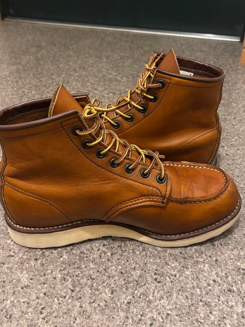 M*ト様 RED WING レッドウィング 875 8.5E アイリッシュセッタ