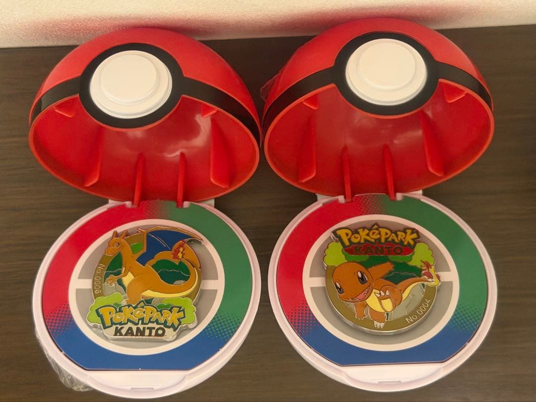 あ*ち様 ポケパークカントー リザードン ヒトカゲ ピンズ ピンバッジ