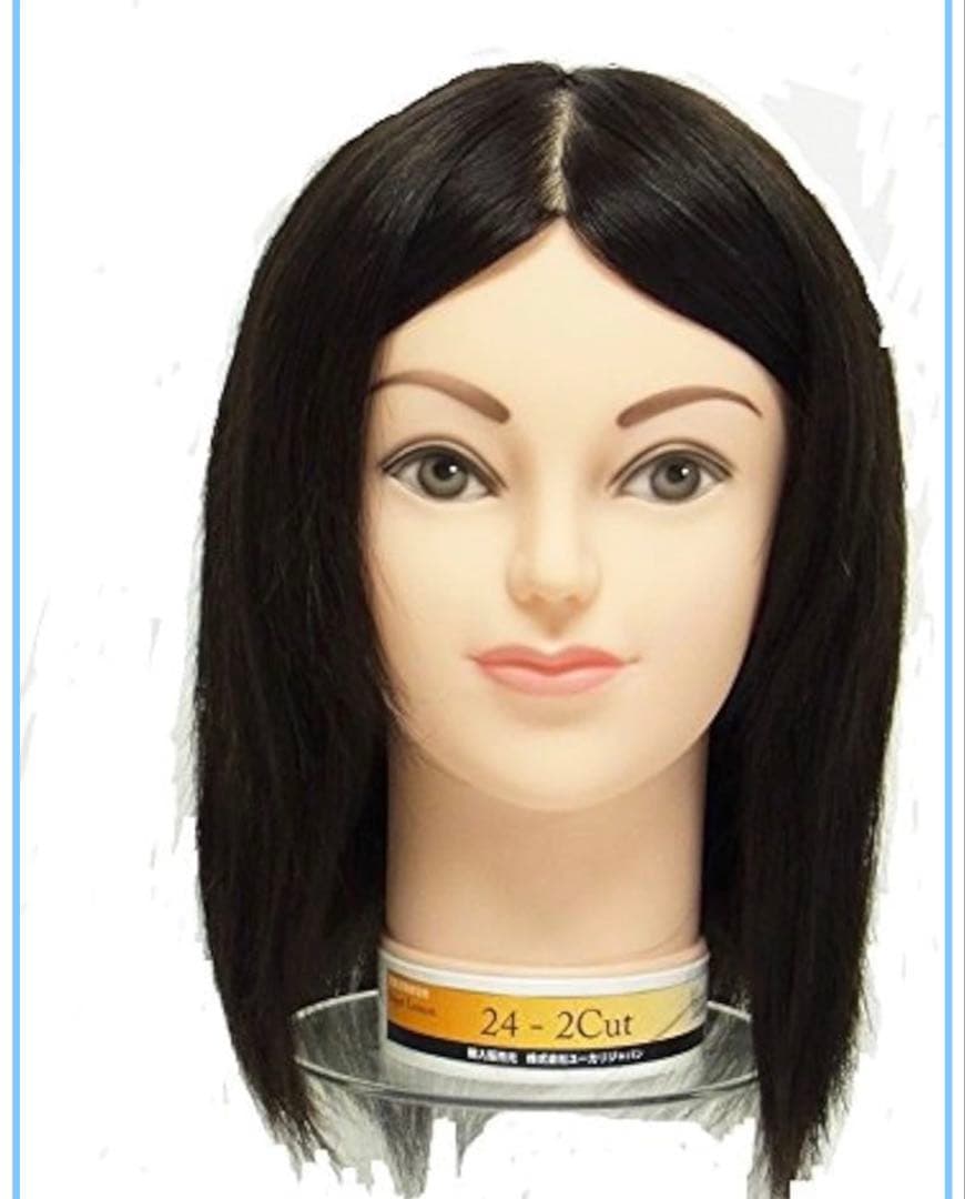 美容師国家試験練習用ウィッグ3体セット 24-2Cut ユーカリジャパン