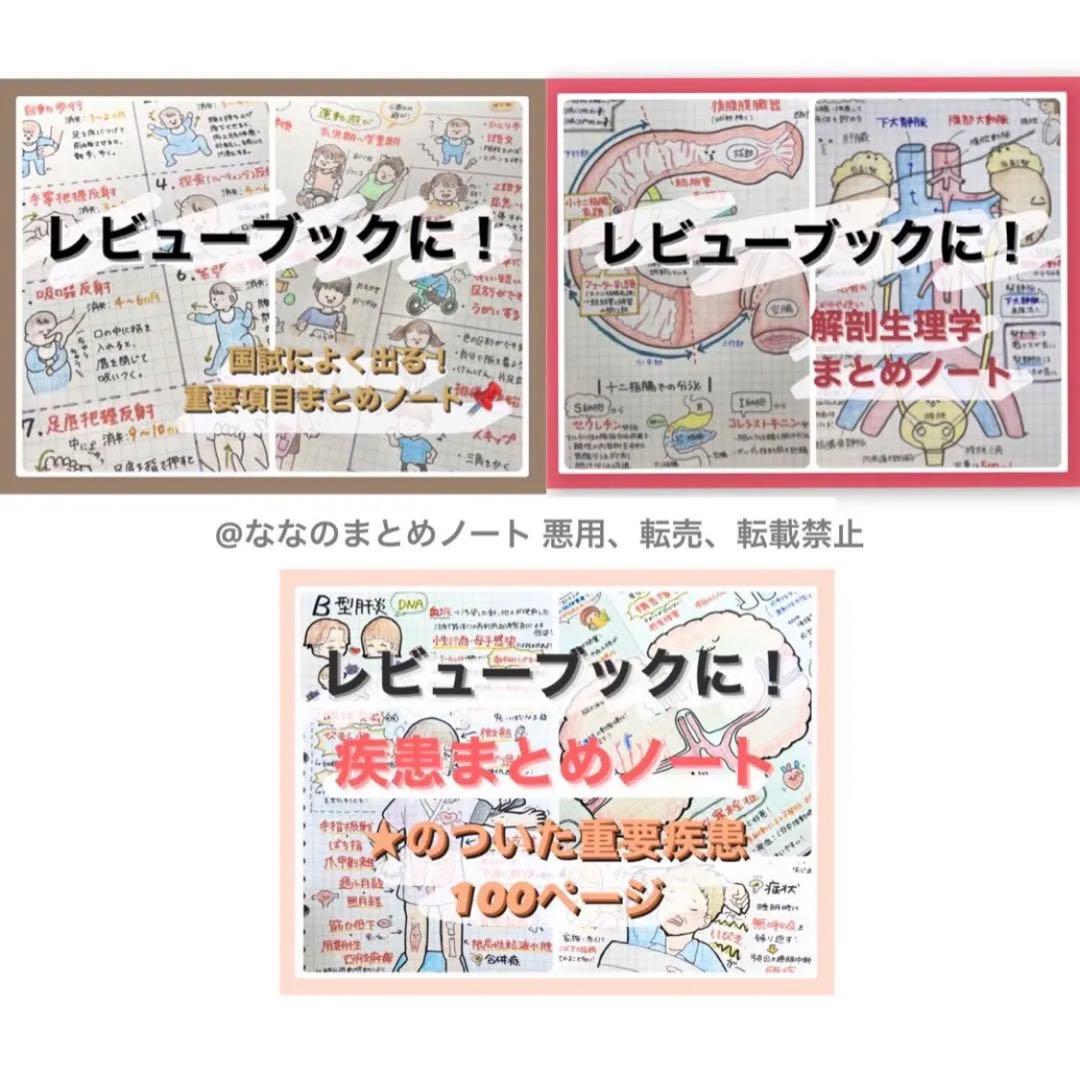 A4サイズ】解剖生理+重要項目+頻出疾患まとめノート 3セット - メルカリ