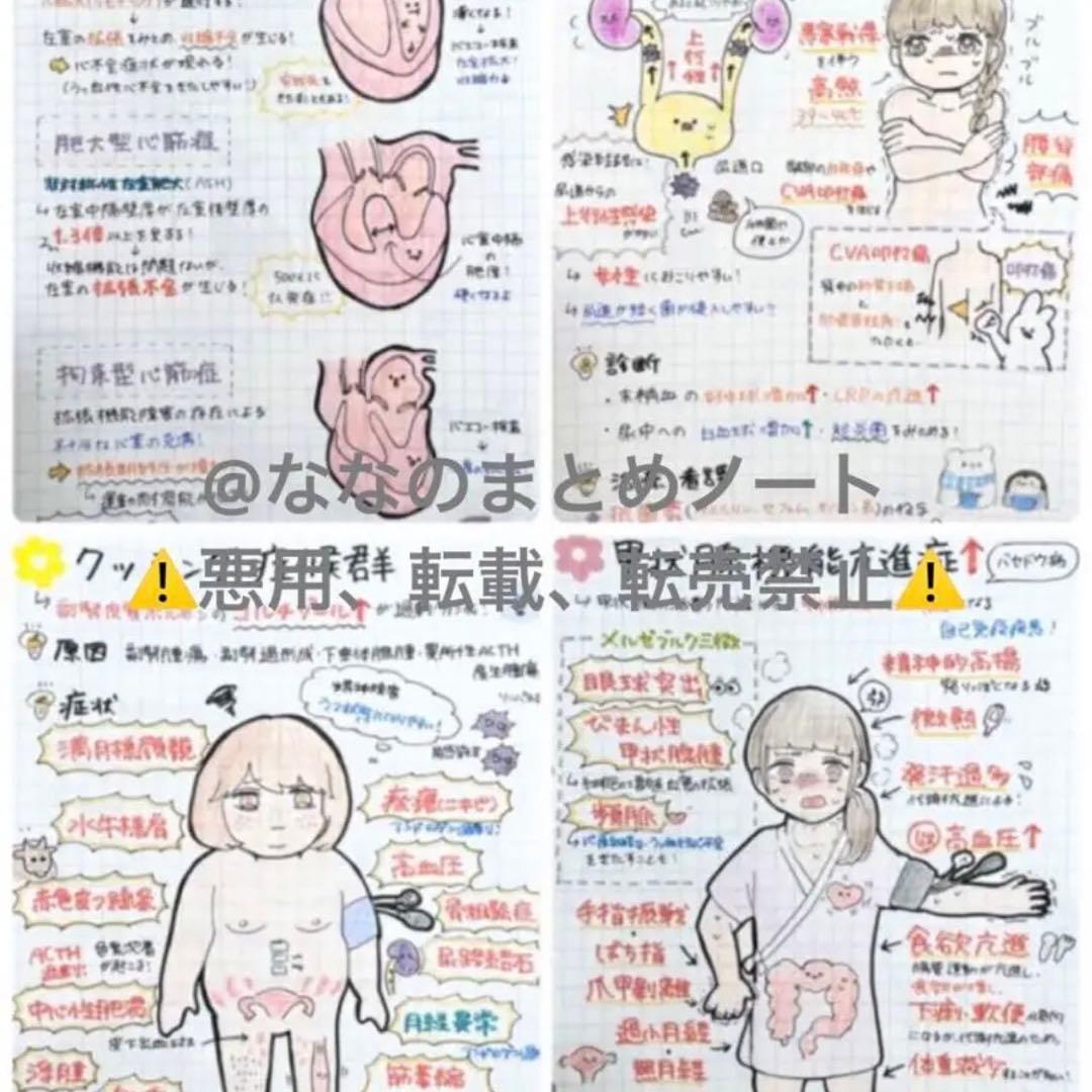 A4サイズ】解剖生理+重要項目+頻出疾患まとめノート 3セット - メルカリ