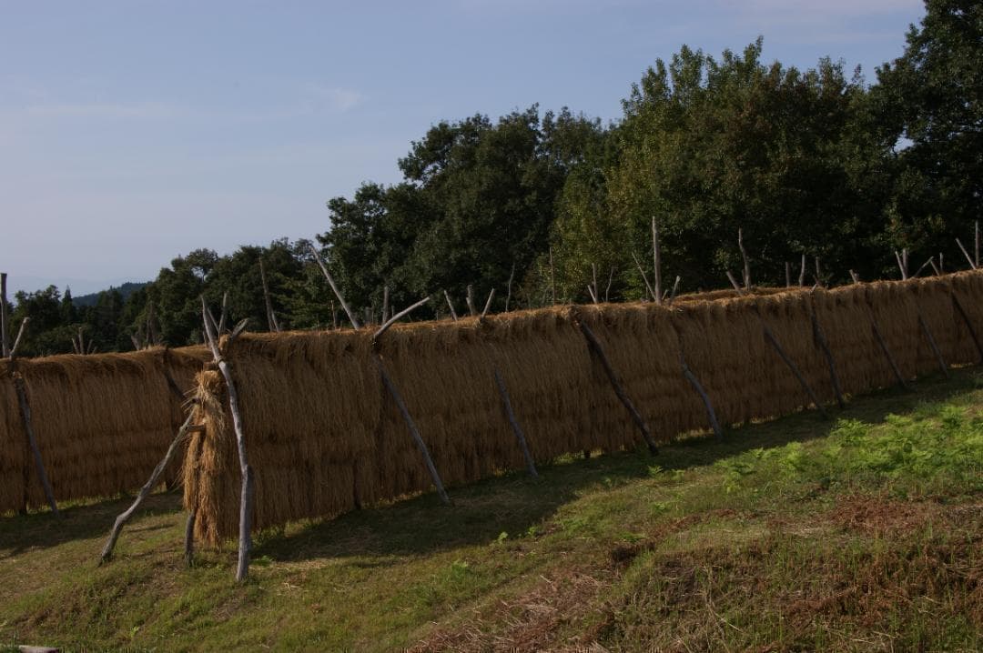 CANON キヤノン EF 28-135mm F3.5-5.6 IS USM