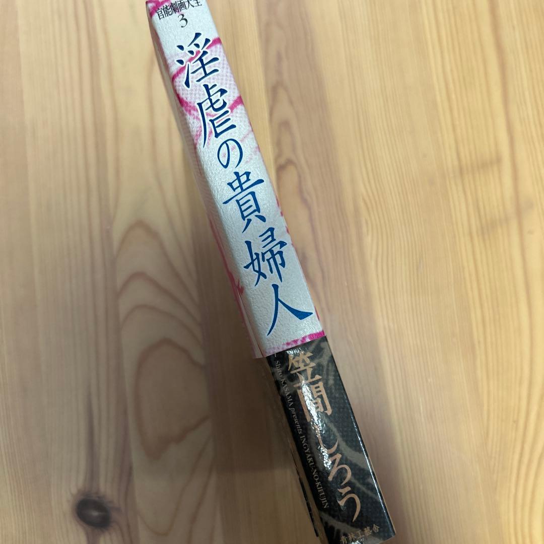 大幅値下げ‼️初版‼️あの責め絵師、笠間しろう/「淫虐の貴婦人」