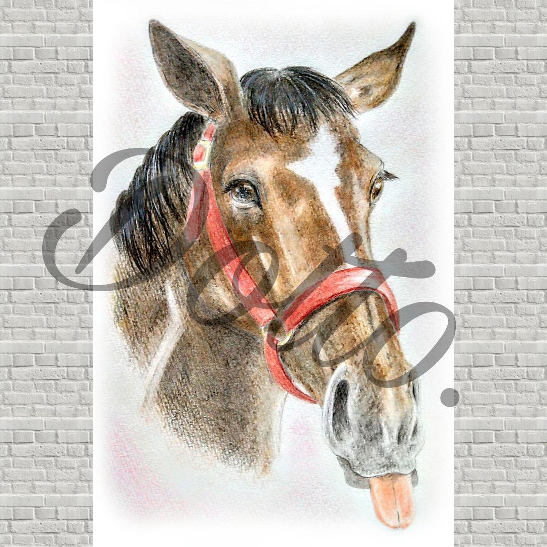 色鉛筆画】 メイケイエール ポストカード 競走馬 イラスト - メルカリ