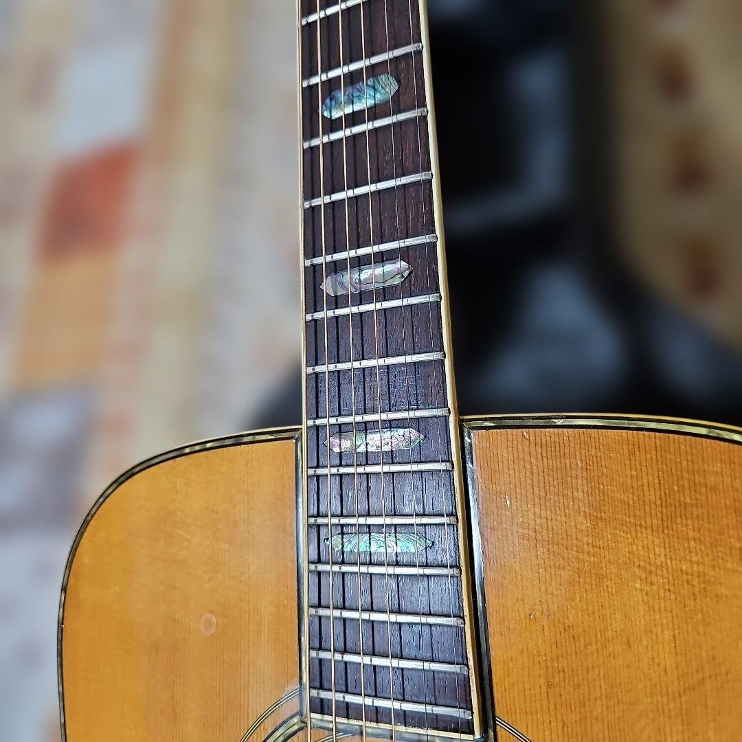 林楽器MOUNTAIN.W-500D1975年式 トップ単板、ハードケース付き - メルカリ