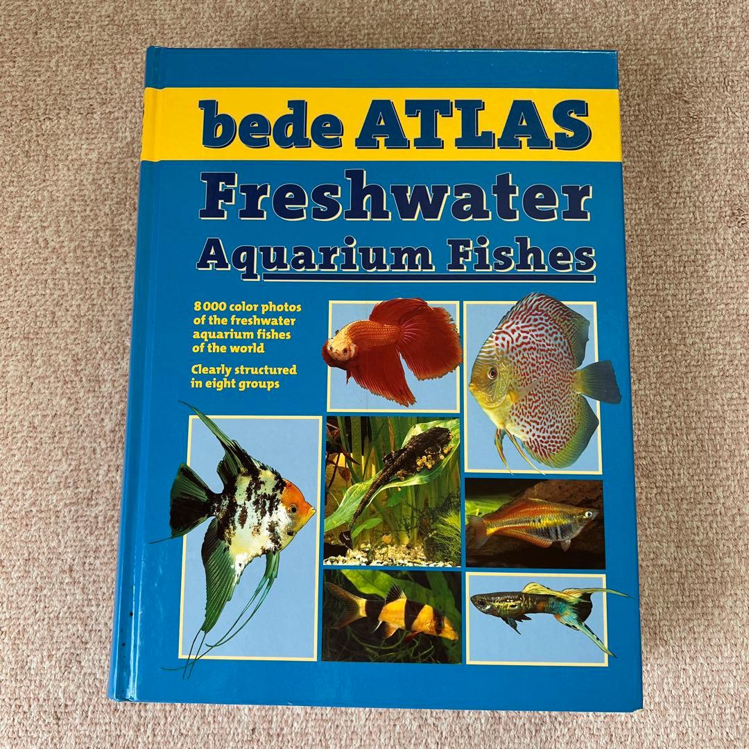 洋書　Freshwater Aquarium Fishes 淡水魚　大型本 日本の淡水魚図鑑 | 株式会社誠文堂新光社