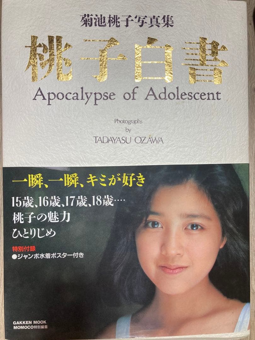 菊池桃子 写真集 桃子白書 中古美品 - メルカリ