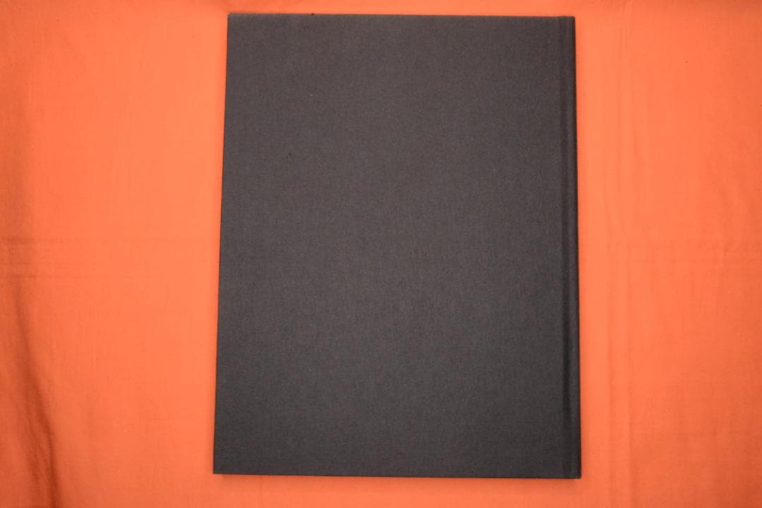 【Mermaids：Michael Dweck】 ★★大幅に値下げしました